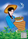 采茶女