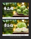 番石榴