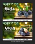 蓝莓