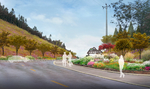 乡村道路绿化花境景观设计
