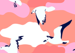 海鸥