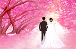 婚礼插画