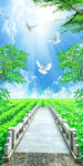 清新自然天空石路走道玄关