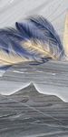 羽毛人气新玄关画 文件分层画
