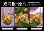 纸皮核桃海报