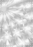 银子花花 金融证书纹