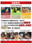 拯救脱发