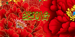 活动签到