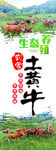 土黄牛