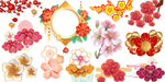 梅花花瓣素材大全