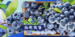 蓝莓