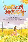 油菜花
