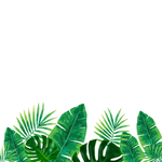 绿色树叶植物边框