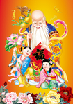 老寿星