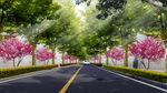 道路绿化效果图