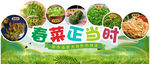 春季野菜 超市吊牌