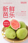 芭乐海报