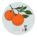橙子手绘