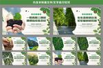植树节活动