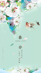春分 二十四节气