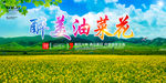 油菜花
