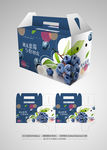 蓝莓包装 平面图