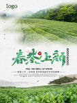 春茶上新