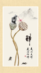 禅