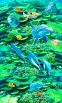 绿色珊瑚海底地画