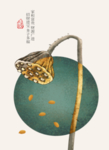 莲蓬装饰画