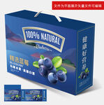 蓝莓包装礼盒