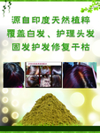 源自印度 天然植粹 覆盖白发