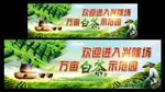 茶园展板