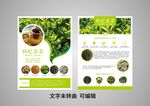 枸杞茶苗养生茶宣传单