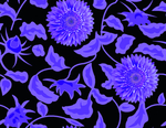 紫色花