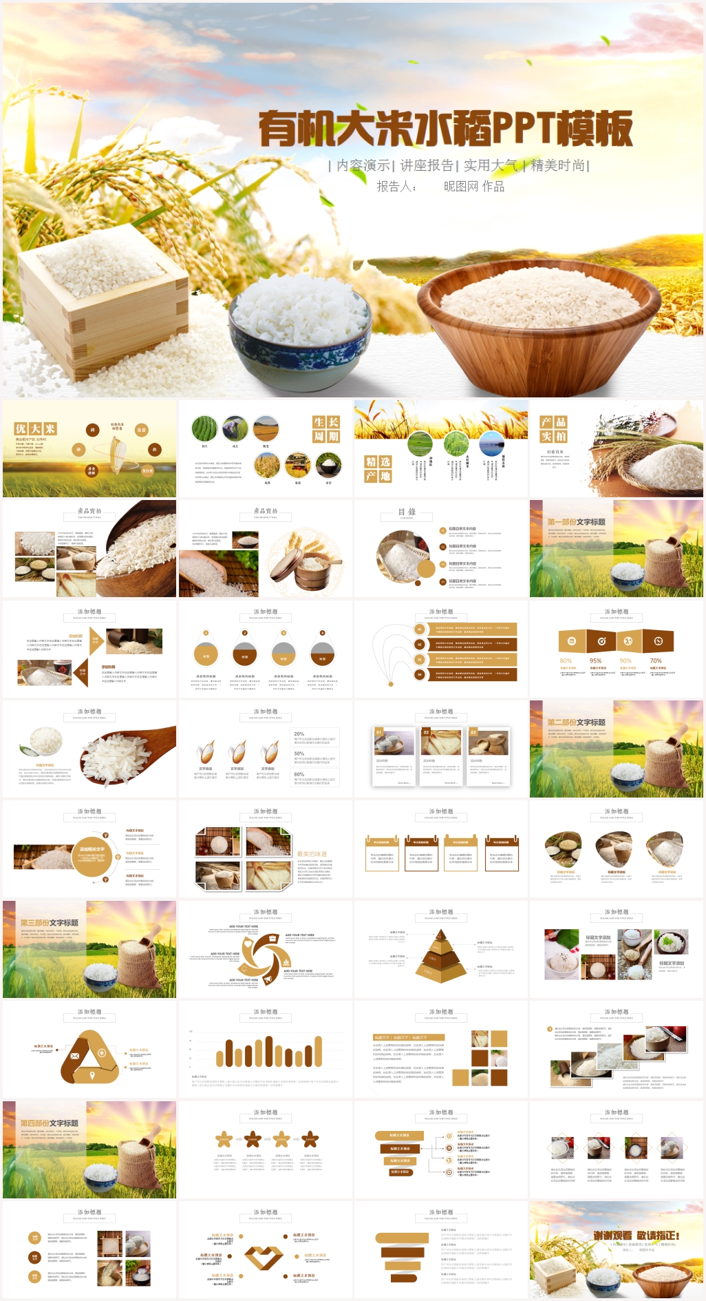 水稻五常有机大米PPT模板农业
