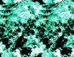 扎染