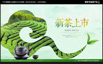 新茶上市