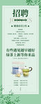 招聘上新展架