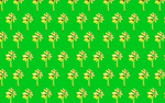 香蕉