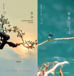 节气