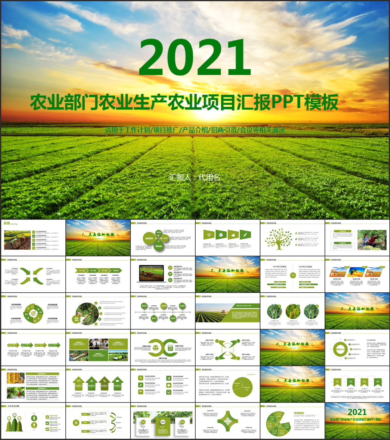 农业部门农业项目汇报PPT