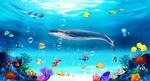 海洋生物