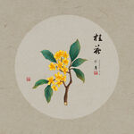 手绘桂花