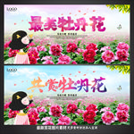 牡丹花节