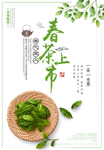 春 茶 绿叶 新品 海报