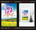 油菜花