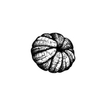 橘子