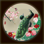孔雀