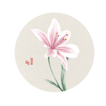 手绘百合花